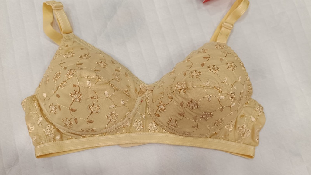 TEENS Saree Pad MXD Bra