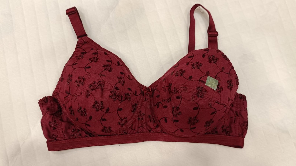 TEENS Saree Pad MXD Bra