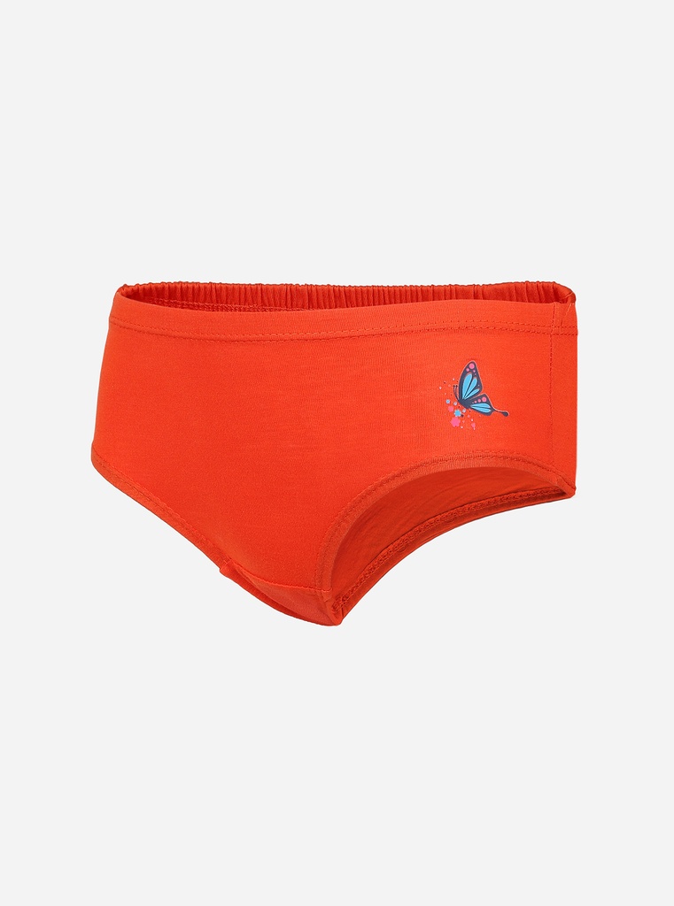 V Star Girls Candy Panty 3PCs