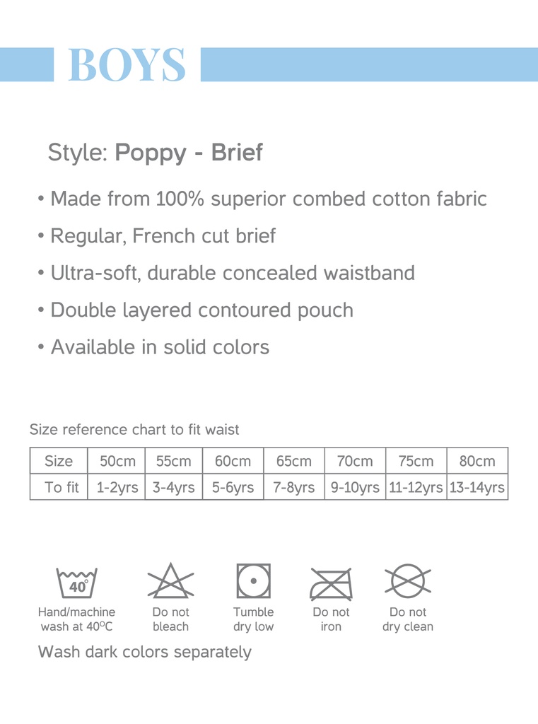 V Star Boys Poppy Briefs 3PCs