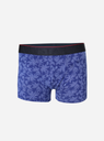 V Star Boys HR J3 Trunk